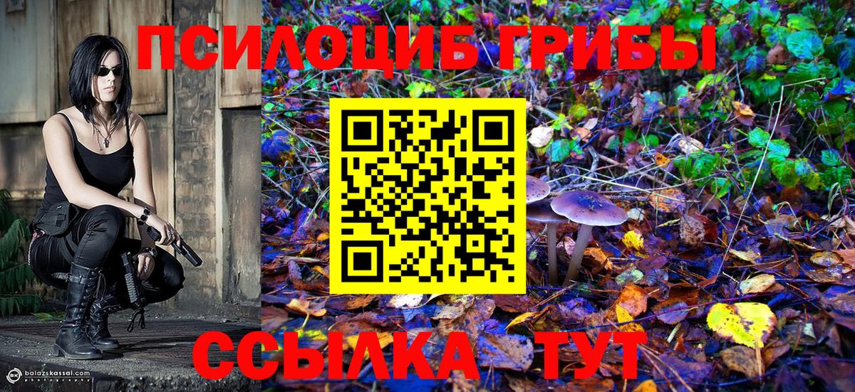 Псилоцибиновые грибы GOLDEN TEACHER Ипатово